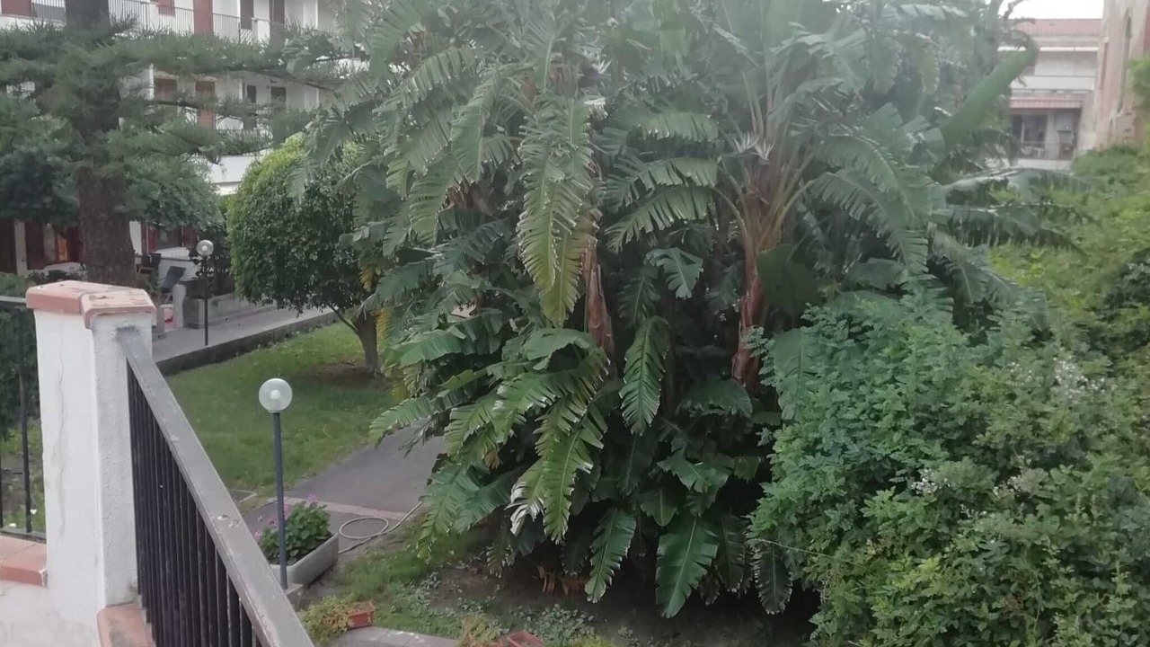 Photo of Outdoor in San Giorgio
