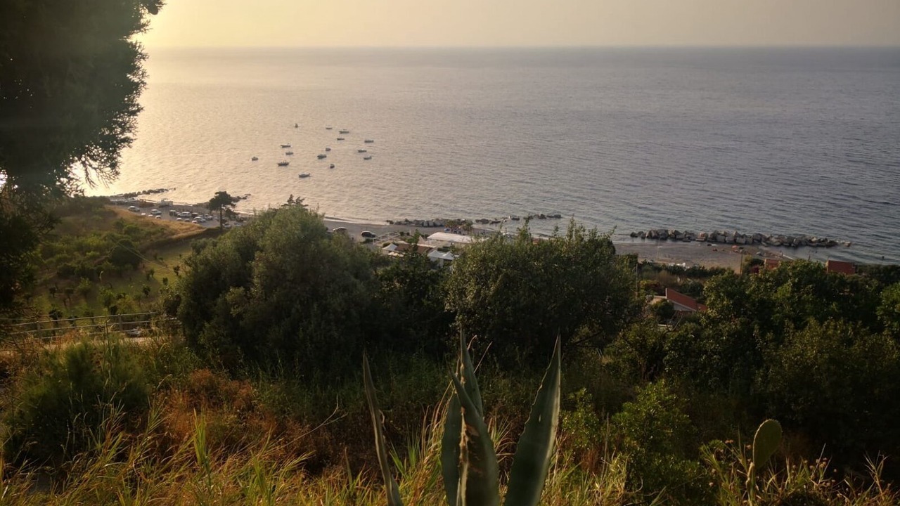 Photo of Others in Gioiosa Marea