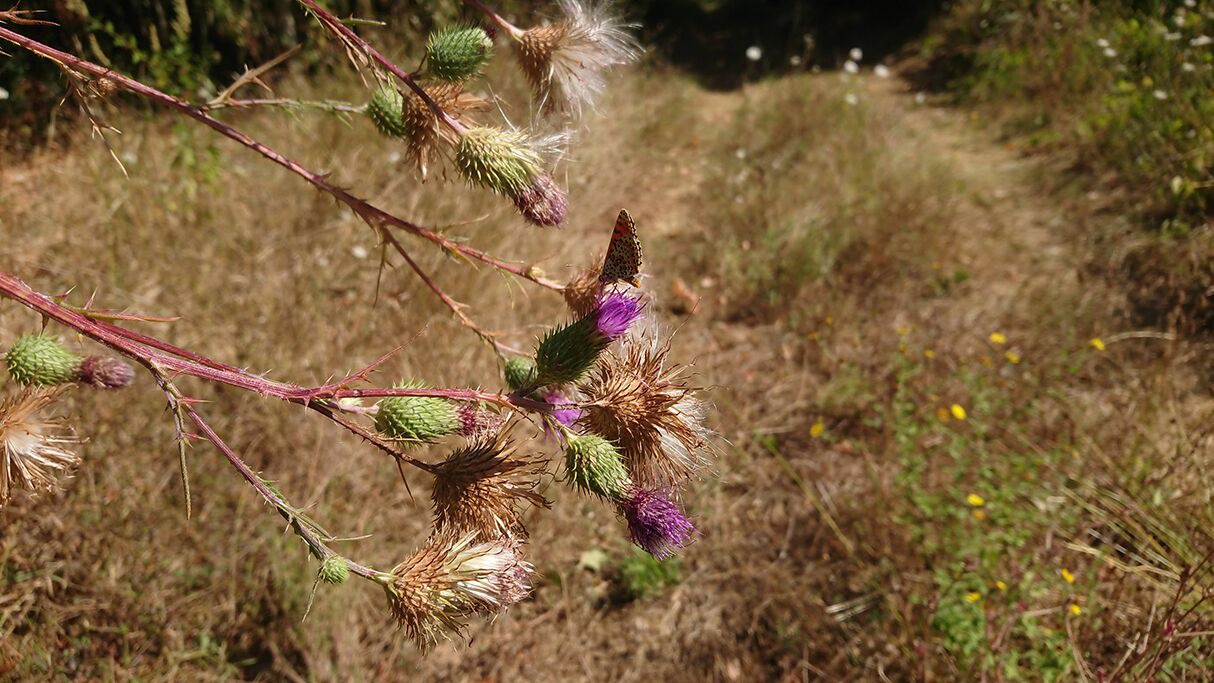 Photo of Outdoor in Licata