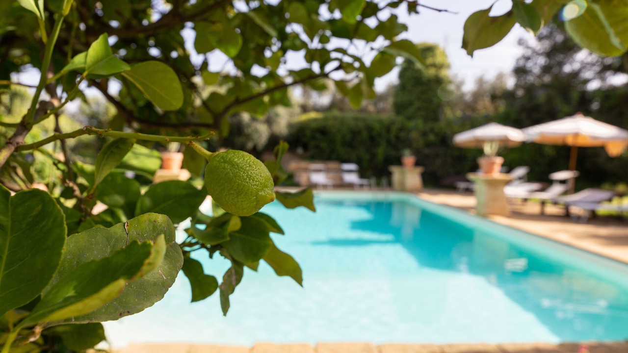 Photo of Outdoor in Mockarta