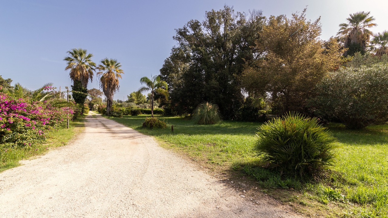 Photo of Outdoor in Mockarta