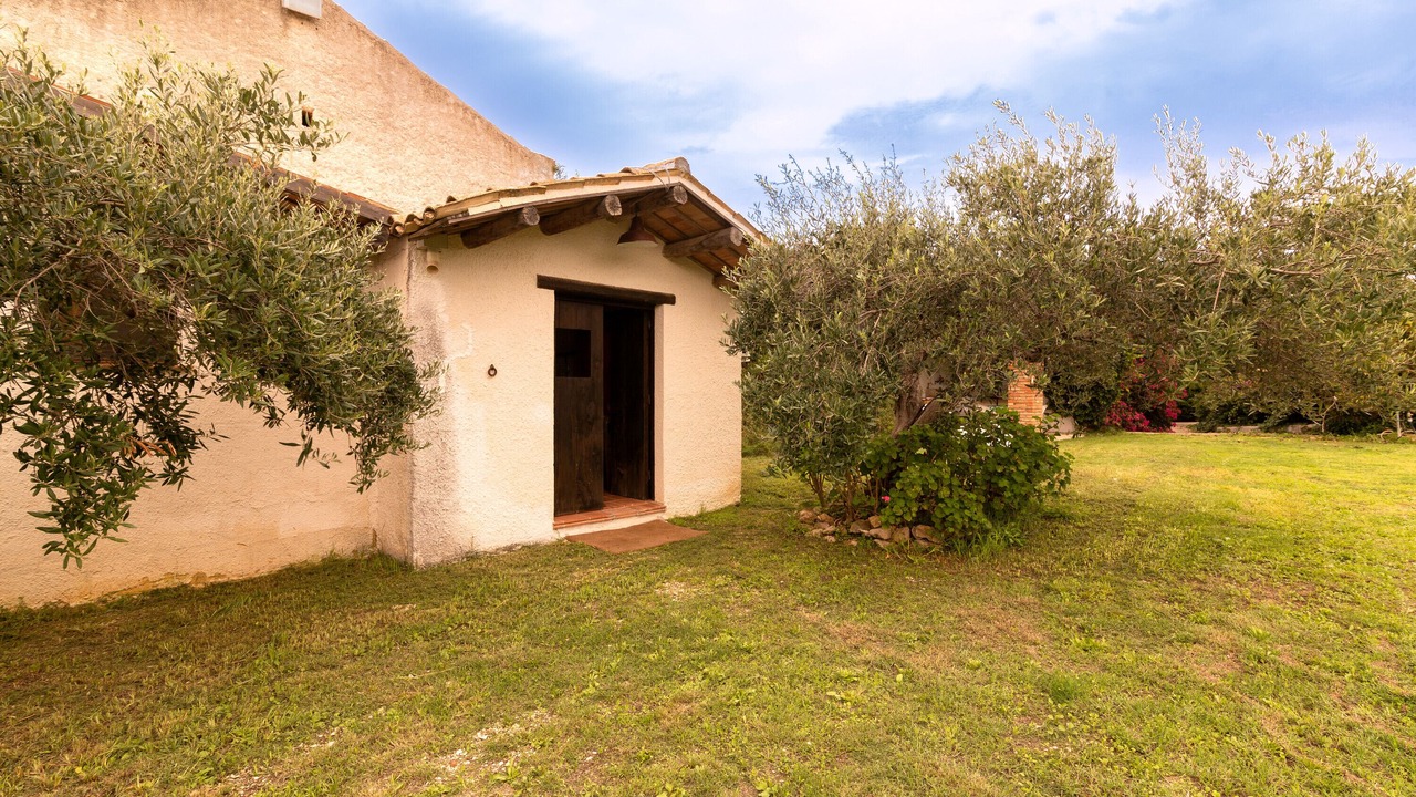 Photo of Outdoor in Mockarta