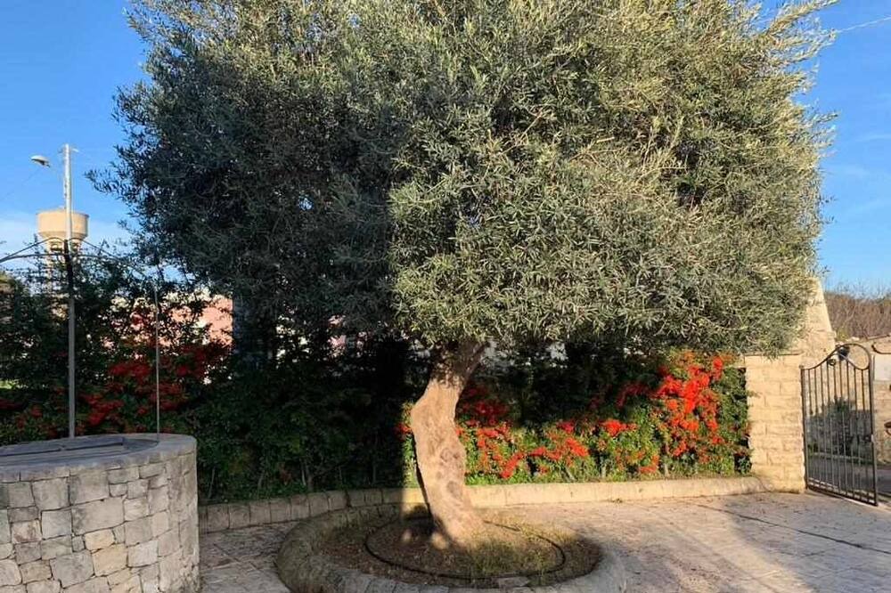 Photo of Outdoor in Testa dell'Acqua