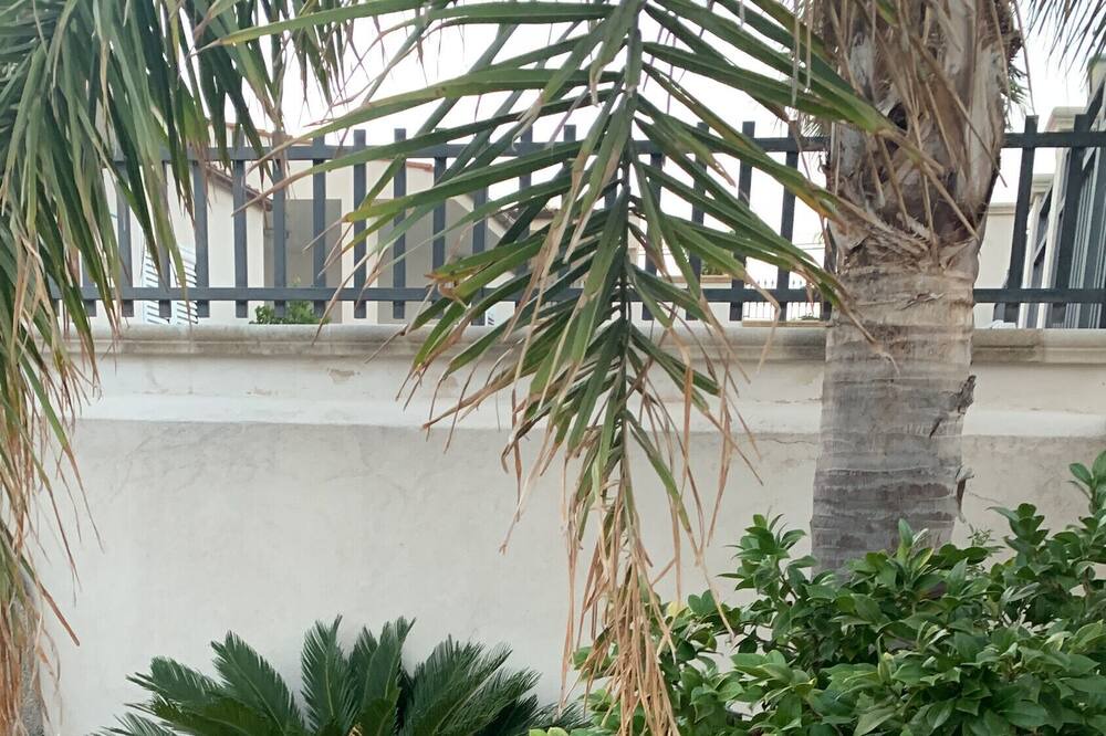 Photo of Outdoor in Triscina