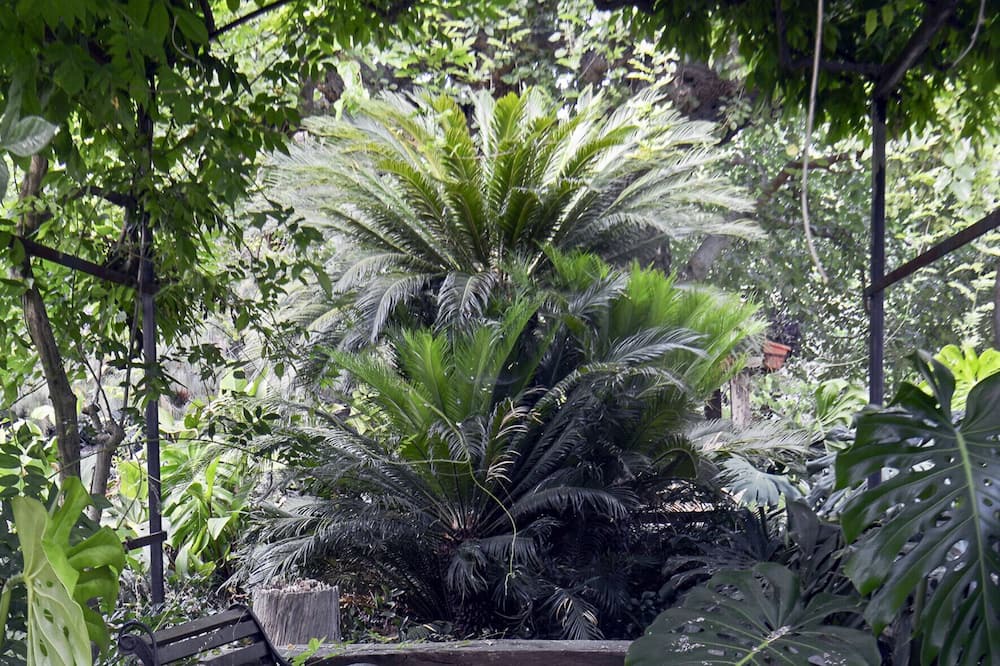 Photo of Outdoor in Torretta