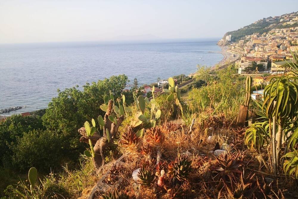 Photo of Others in Piraino