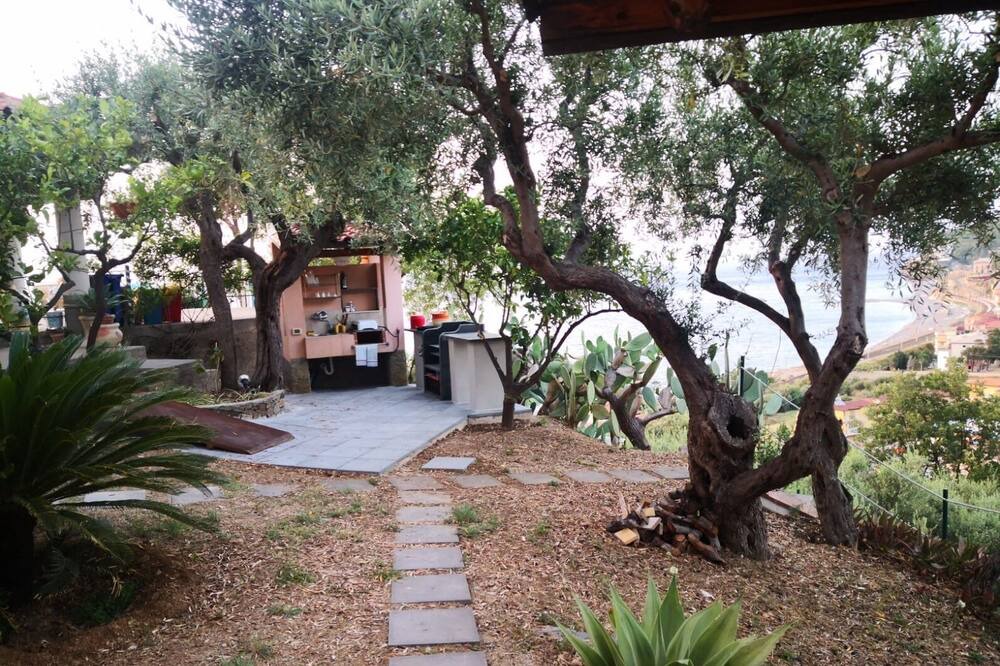 Photo of Outdoor in Piraino