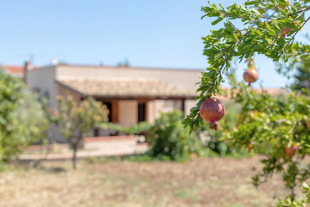 Photo of Outdoor in Torre Colonna-sperone