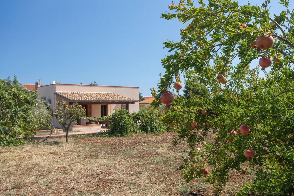 Photo of Outdoor in Torre Colonna-sperone