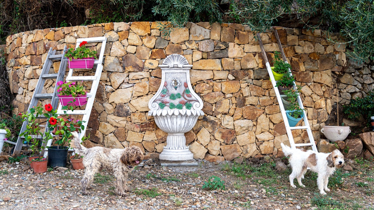 Photo of Outdoor in Tusa