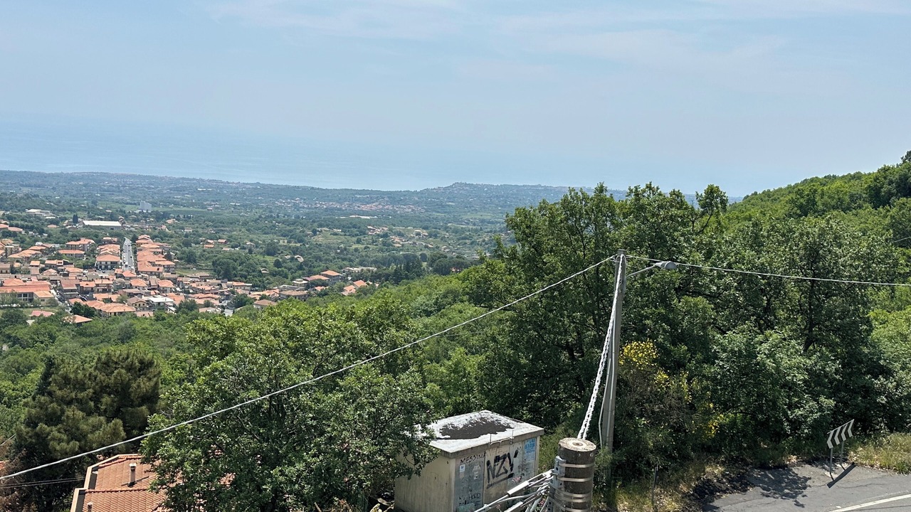 Photo of Others in Zafferana Etnea