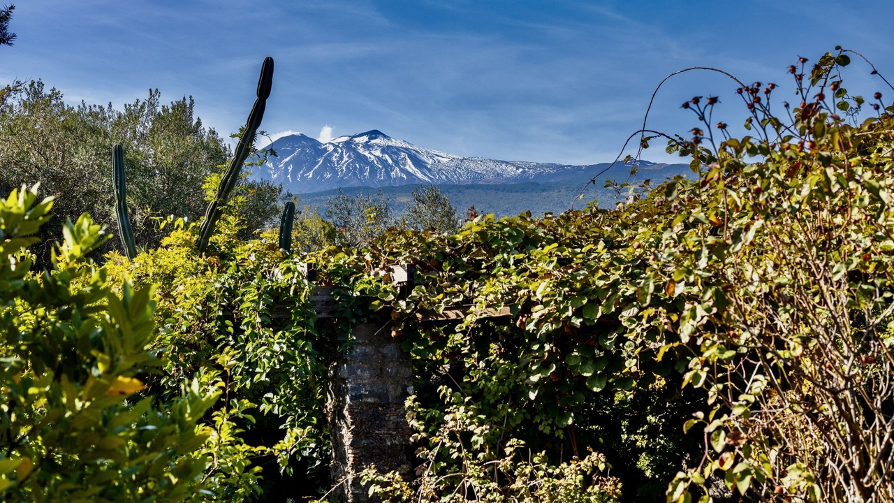 Photo of Outdoor in Rovittello