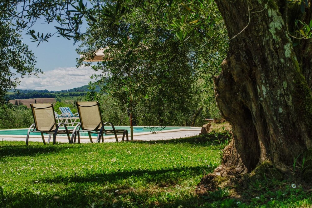 Photo of Outdoor in Torrita di Siena
