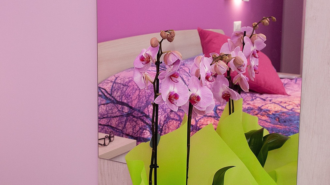Photo of Bedroom in Campofelice di Roccella