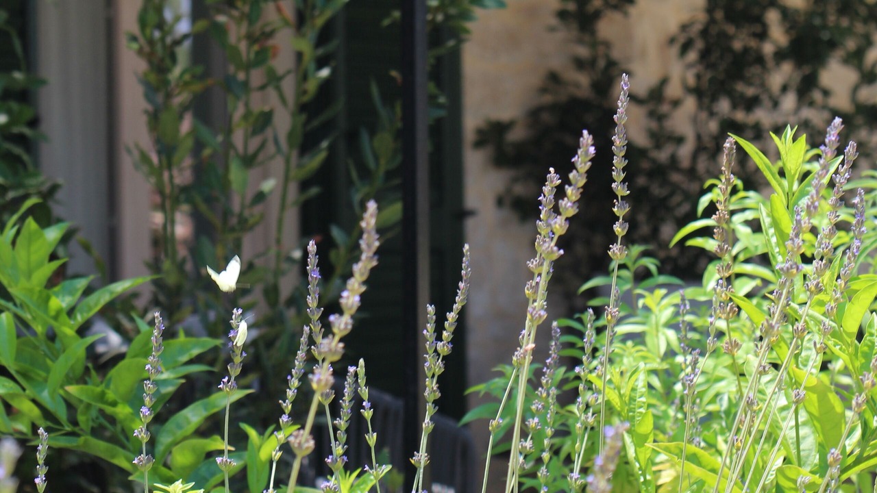 Photo of Patio Balcony in Donnalucata