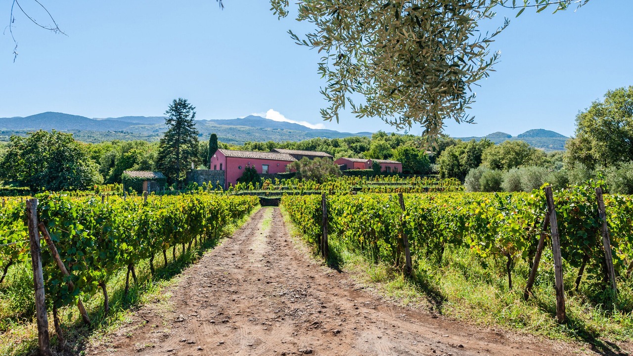 Photo of Outdoor in Randazzo