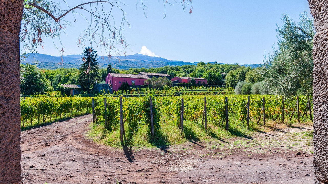 Photo of Outdoor in Randazzo