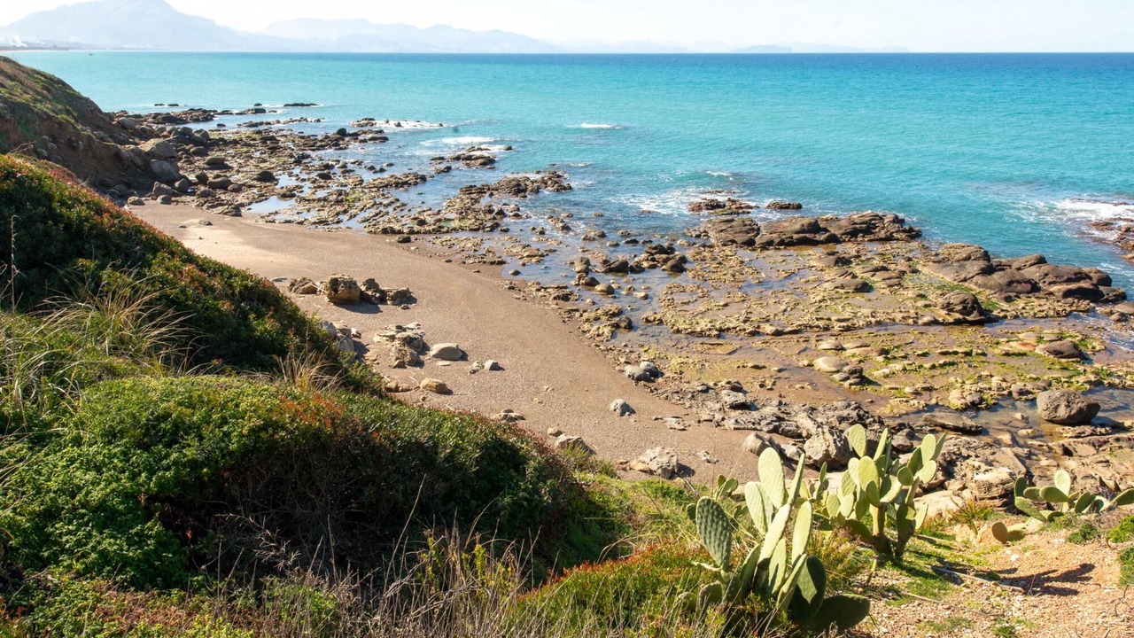 Photo of Others in Capo