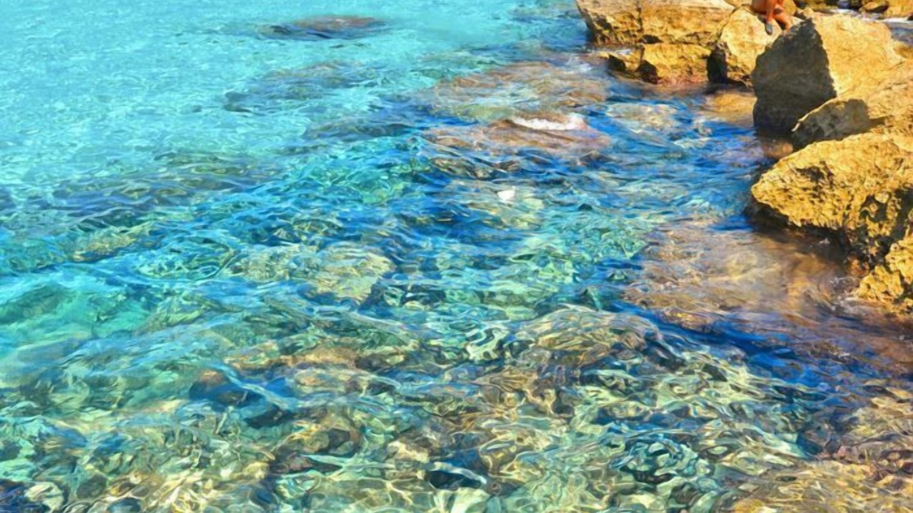 Photo of Others in Favignana