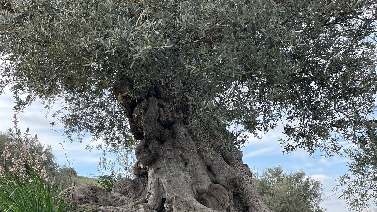 Photo of Outdoor in Agrigento