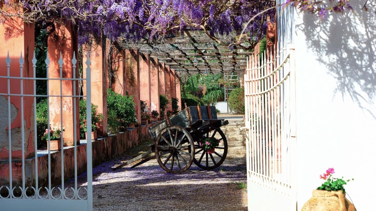Photo of Outdoor in Casa Santa