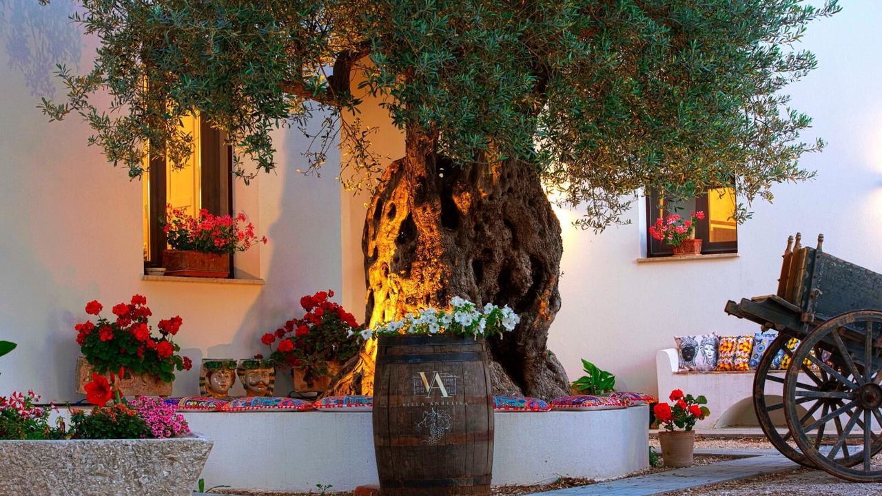 Photo of Outdoor in Casa Santa