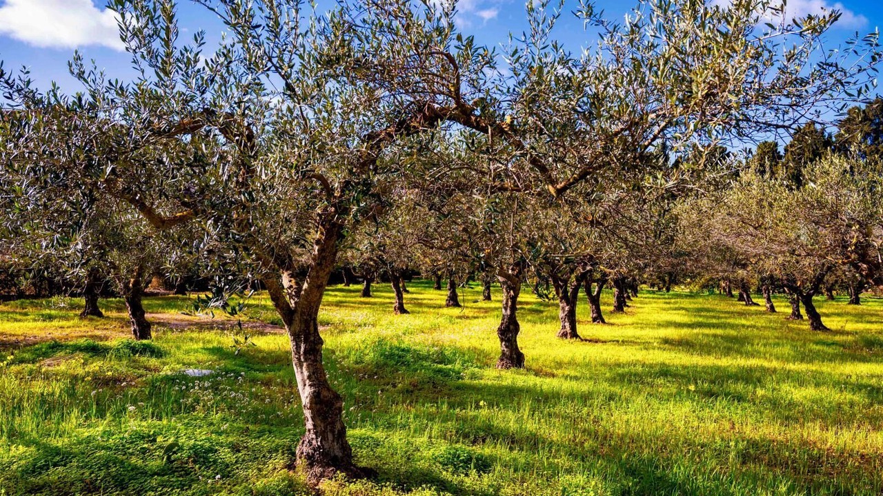Photo of Outdoor in Casa Santa