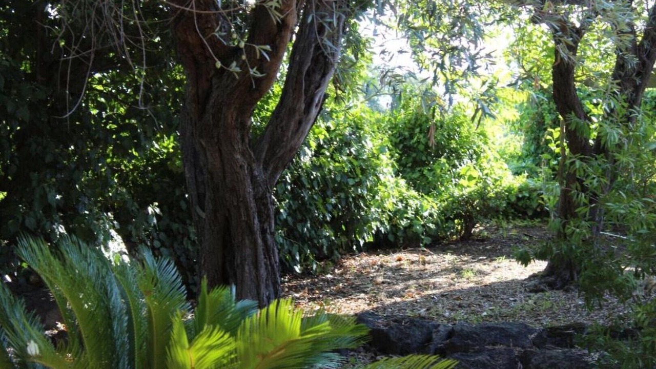 Photo of Outdoor in Aci Catena