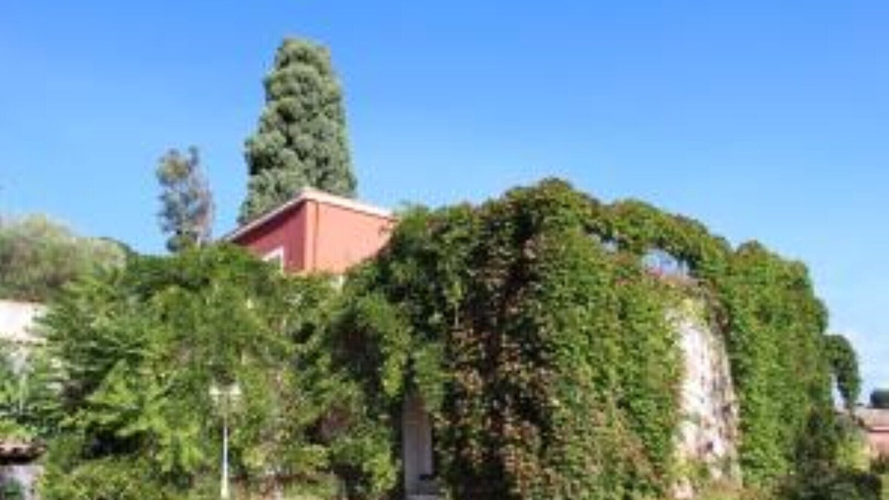 Photo of Others in Aci Catena