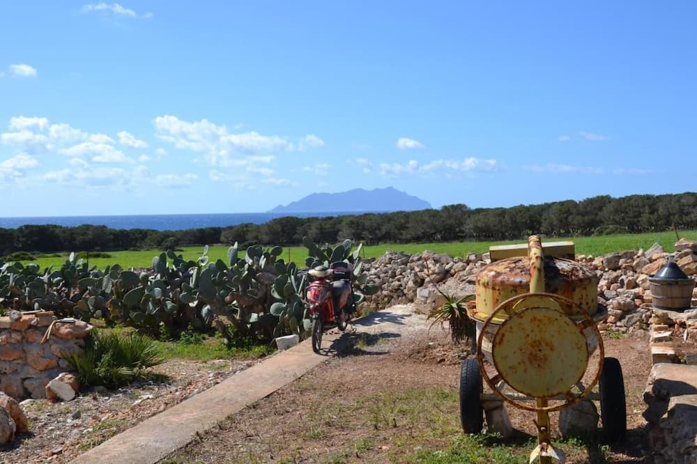 Photo of Others in Favignana