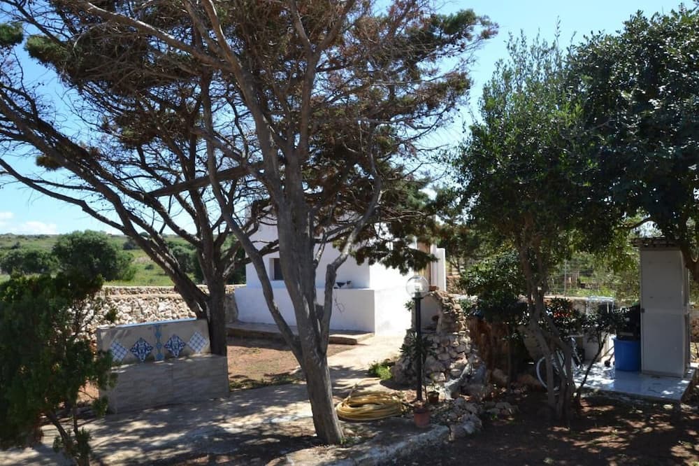 Photo of Others in Favignana