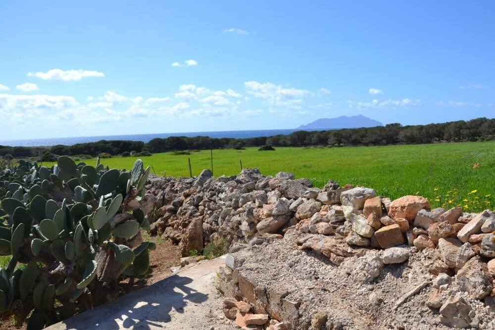 Photo of Others in Favignana