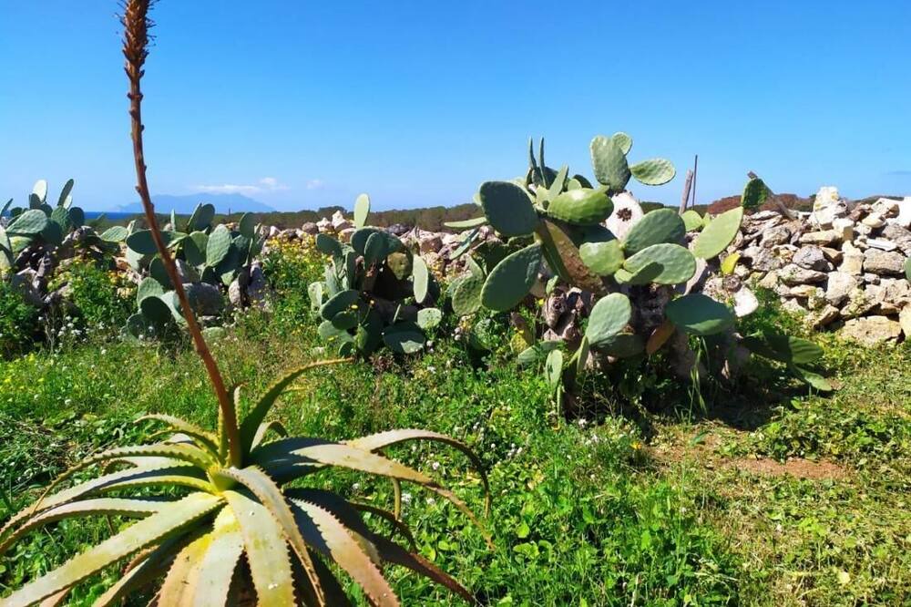 Photo of Others in Favignana