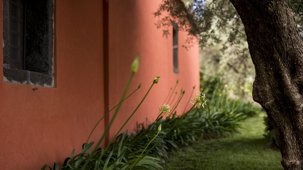 Photo of Outdoor in Linguaglossa