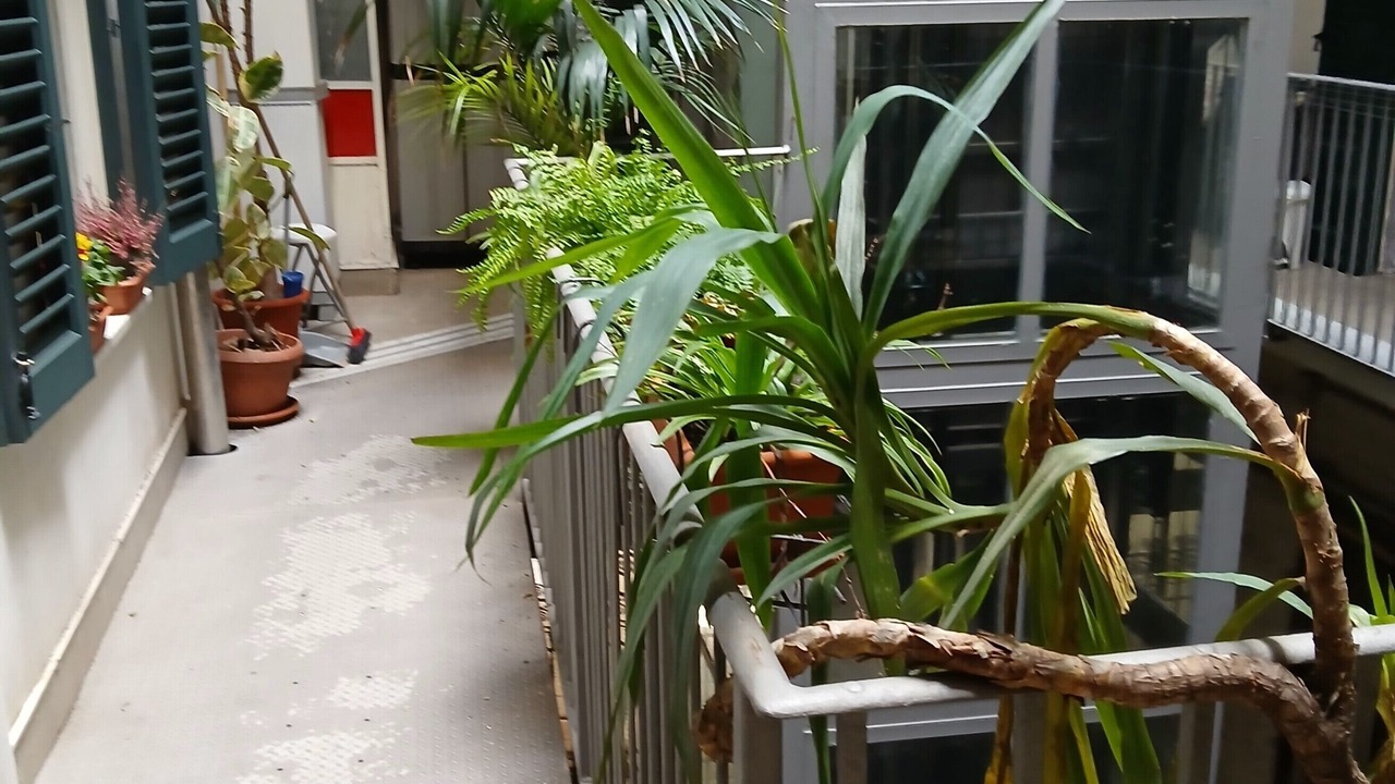 Photo of Patio Balcony in Corso dei Mille - Sant'Erasmo