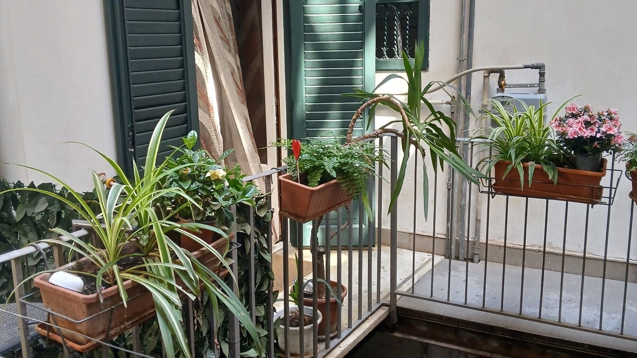 Photo of Bedroom in Corso dei Mille - Sant'Erasmo