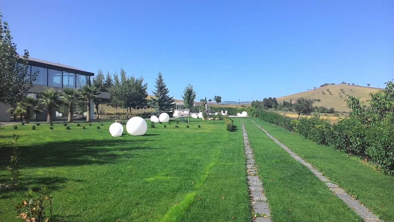 Photo of Outdoor in Bronte