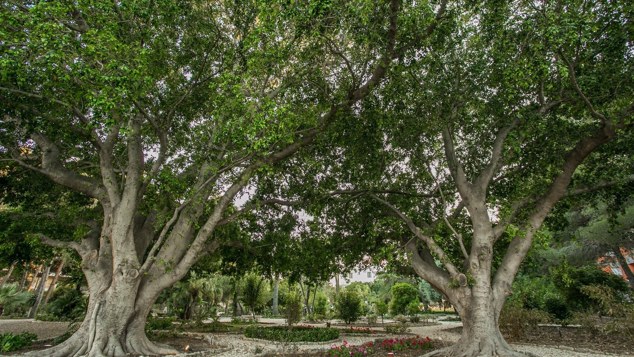 Photo of Outdoor in Tiche