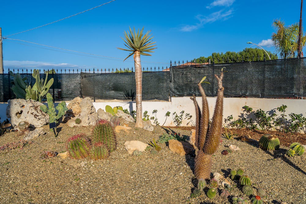 Photo of Outdoor in Tiche
