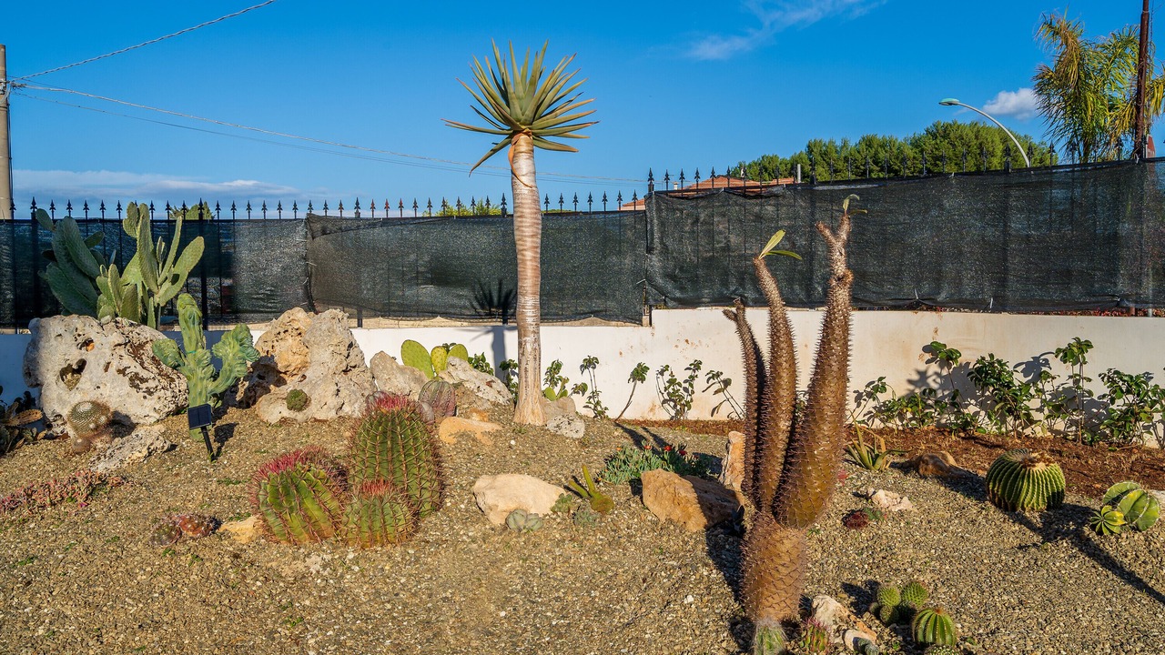 Photo of Outdoor in Tiche