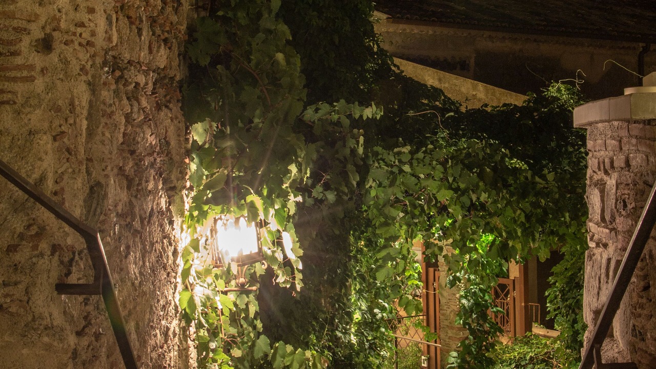 Photo of Outdoor in Savoca