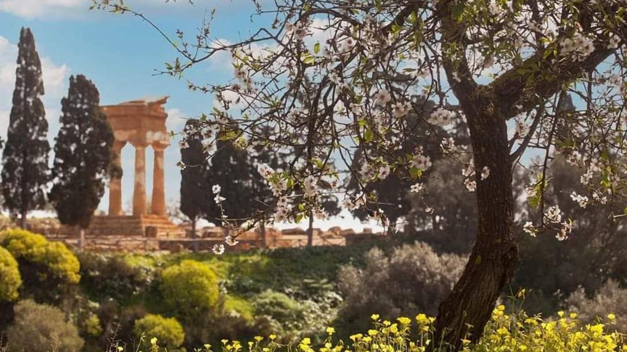 Photo of Others in Agrigento