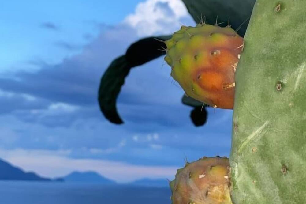 Photo of Outdoor in Alicudi