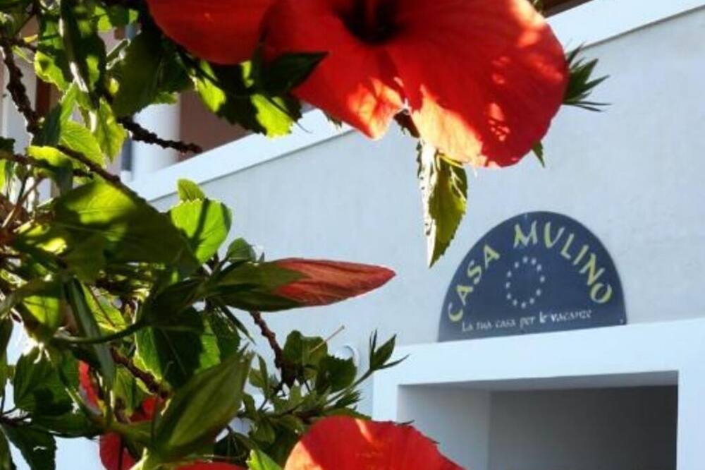 Photo of Outdoor in Alicudi