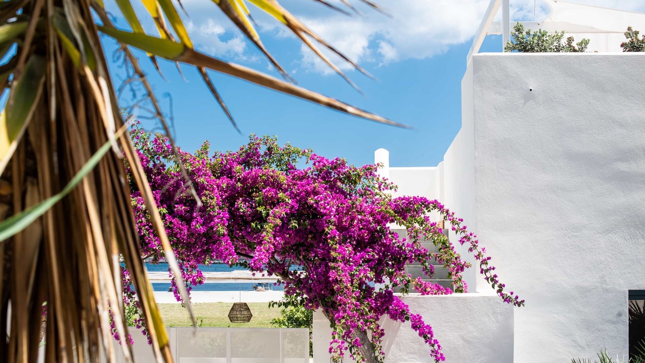 Photo of Outdoor in Porto Palo