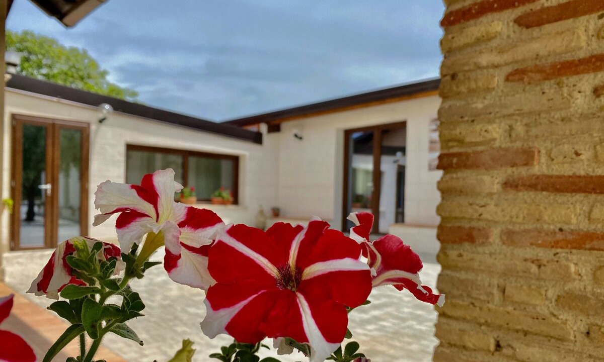 Photo of Outdoor in Cammarata