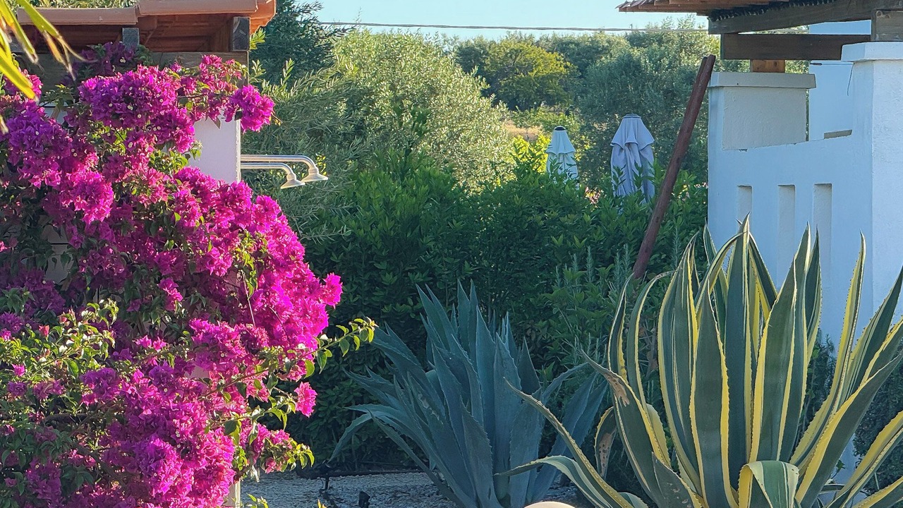 Photo of Outdoor in Noto