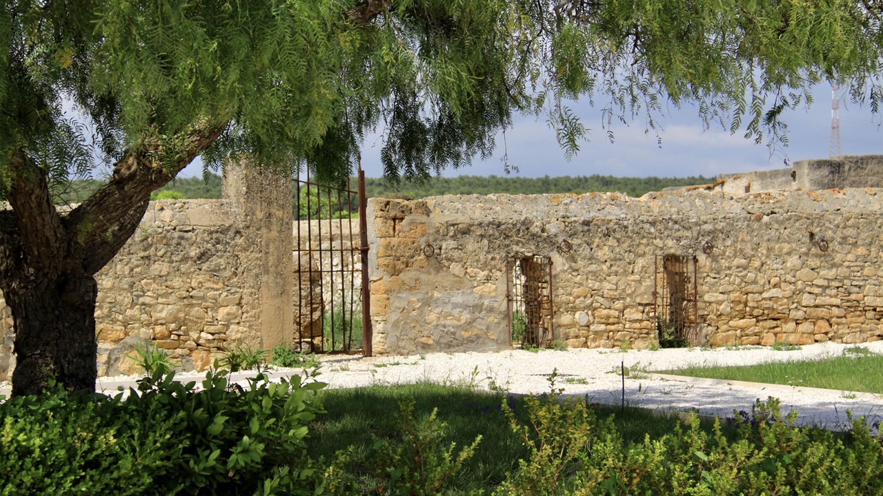 Photo of Outdoor in Menfi