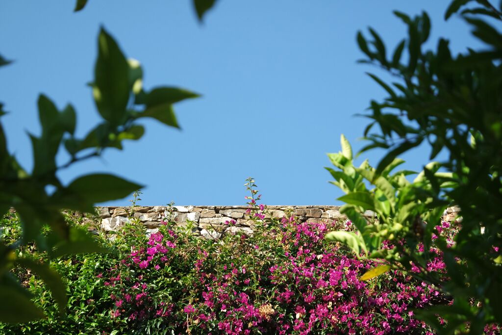 Photo of Outdoor in Ascea