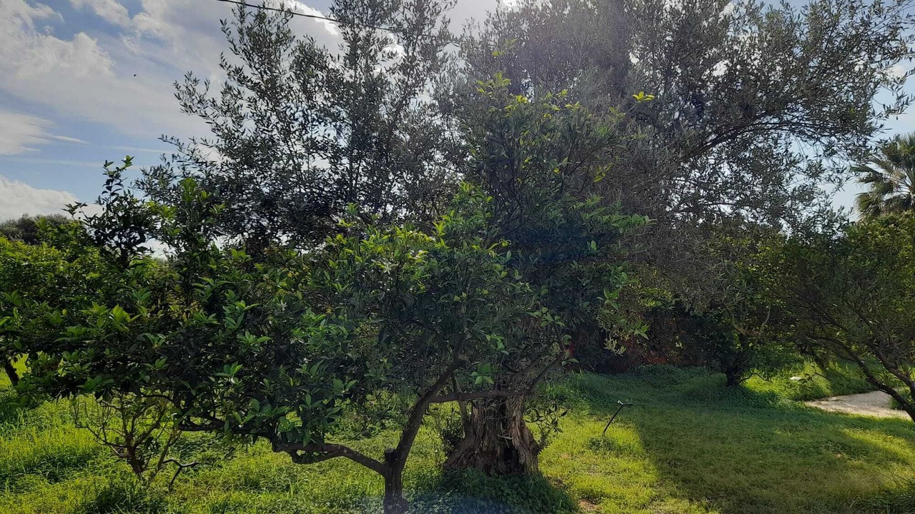 Photo of Outdoor in Partinico